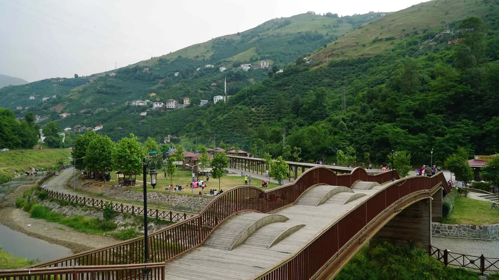 Sera golu (14)